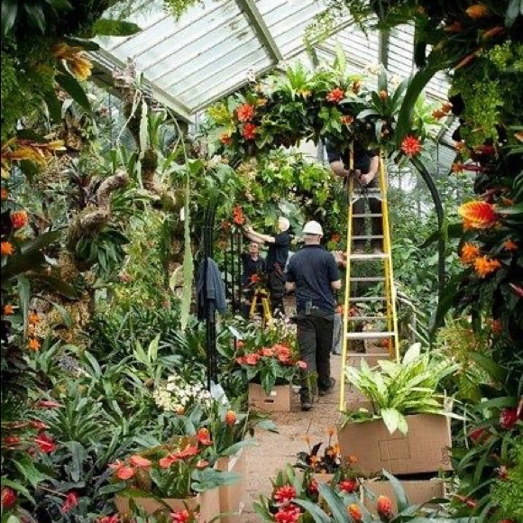 Meet your Posher, Nancy - Picture 1 of 1